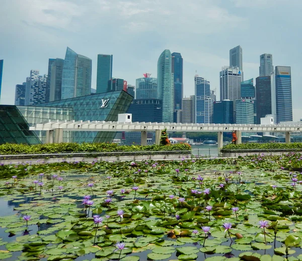 SINGAPUR, SINGAPUR - 6 de mayo de 2017: Estanque de Lotus en la Bahía Marina —  Fotos de Stock