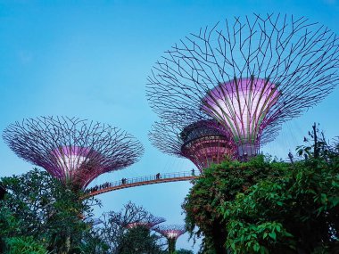 Singapur - 7 Mayıs 2017: Süper koy pa bahçelerle ağacında