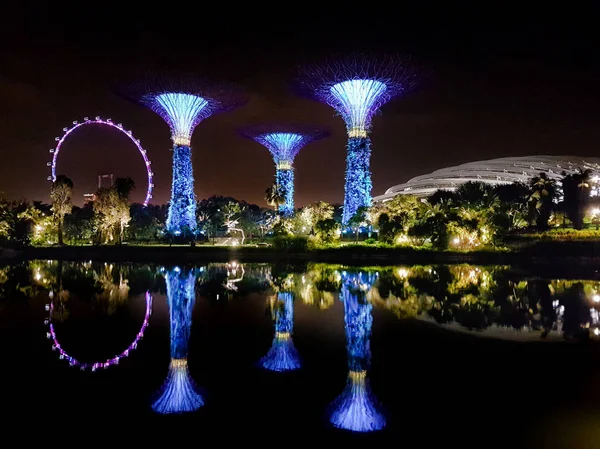 SINGAPUR - 7 de mayo de 2017: Súper árboles iluminados en los jardines —  Fotos de Stock