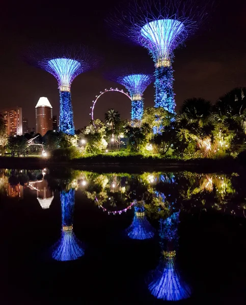 SINGAPUR - 7 de mayo de 2017: Súper árboles iluminados en los jardines —  Fotos de Stock