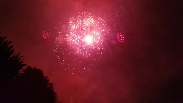 Sequência Grande Final Durante Fogos Artifício Dia Independência Exibida National — Vídeo de Stock