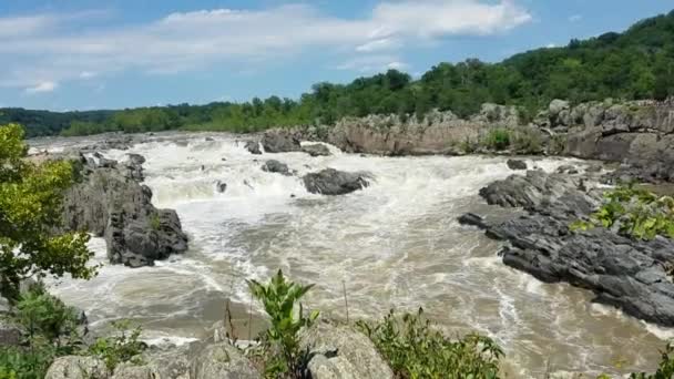 Los Rápidos Del Río Potomac Hinchados Por Fuertes Lluvias Las — Vídeos de Stock
