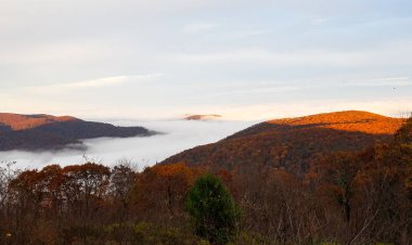 Au sırasında bulutlar alüp dağ ormanları havadan görünümü