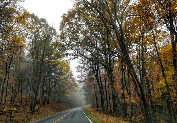 가을에 숲을 가로지르는 도로 — 스톡 사진
