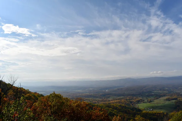 A hegyvidéki erdők világnézete világos őszi színekben — Stock Fotó
