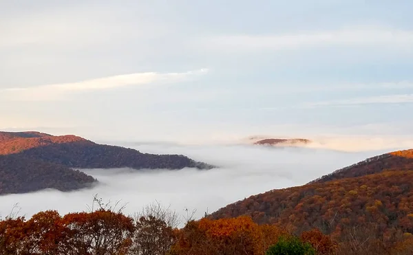 Luftutsikt över fjäll skogar uppslukade i moln — Stockfoto