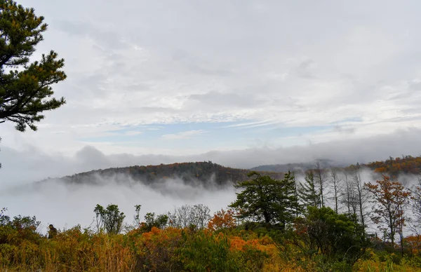 Vista aérea de florestas de montanha engolfado em nuvens durante o au — Fotografia de Stock