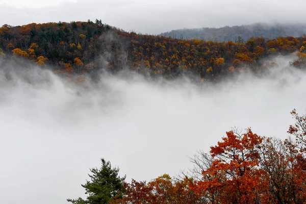 Letecký pohled na horské lesy zaplavené mraky — Stock fotografie