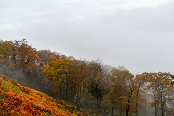 明亮的秋色山林鸟瞰图 — 图库照片