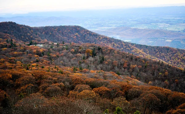 Vista aérea de florestas de montanha em cores brilhantes de outono — Fotografia de Stock