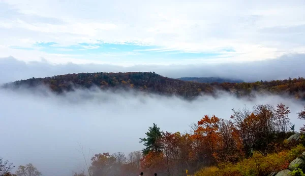 Vue aérienne des forêts de montagne englouties dans les nuages — Photo