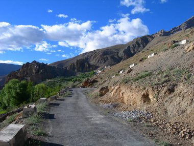 Kuzey Hindistan'da Himalaya dağlarında trekking