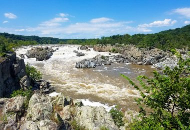 Büyük Şelaleler'deki Potomac nehri, Virginia