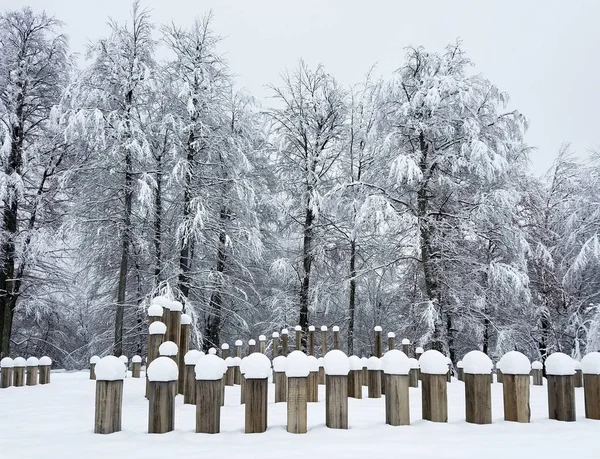 Zimowy Krajobraz Parkiem Zalesionej Okolicy Rzeźbami Drzewami Pokrytymi Lodem Śniegiem — Zdjęcie stockowe