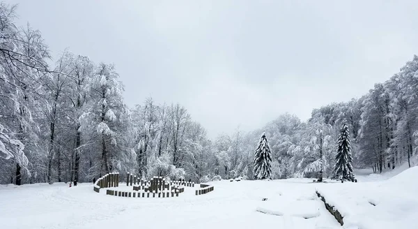Panorama de invierno con árboles congelados cubiertos de hielo y nieve —  Fotos de Stock