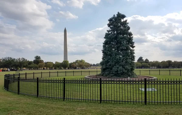 Krajowa Choinka w Waszyngtonie, DC, USA — Zdjęcie stockowe