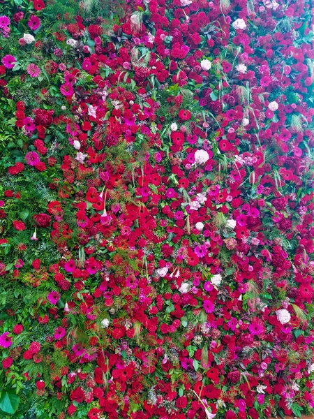 Διακοσμητικός Τοίχος Καλυμμένος Κόκκινα Λουλούδια Και Πράσινο Για Τοπία Και — Φωτογραφία Αρχείου