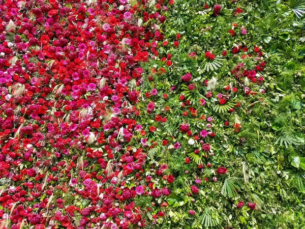 Zbliżenie Kwiatowym Tle Dekoracyjnej Ściany Pokrytej Czerwonymi Kwiatami Zielenią Dla — Zdjęcie stockowe