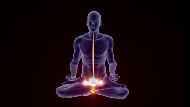 3D yoga meditation poses with chakras — Stock Video © 3000ad #123232000