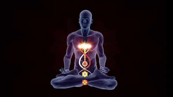 Silhouette Enlightened Yoga Meditation Pose Four Highlighted Hindu Chakras — Stock Photo, Image