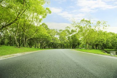 bulanık fotoiz yeşil ağaçlarda koltuk çalışır park.in akşam