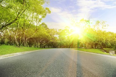 bulanık fotoiz yeşil ağaçlarda koltuk çalışır park.in akşam