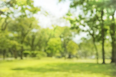 Bulanık fotoğraf Sabah gökyüzü ile parkta güzel çayır.