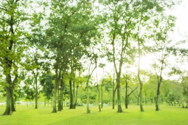 Bulanık fotoğraf Sabah gökyüzü ile parkta güzel çayır.