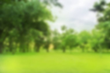 Bulanık fotoğraf Sabah gökyüzü ile parkta güzel çayır.