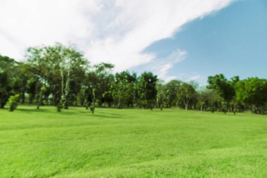 Bulanık fotoğraf Sabah gökyüzü ile parkta güzel çayır.