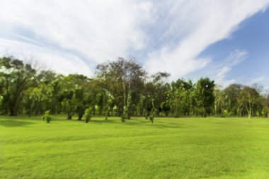 bulanık fotoğraf Yeşil ağaçlar ve bahçeler Sabah güzel ışık