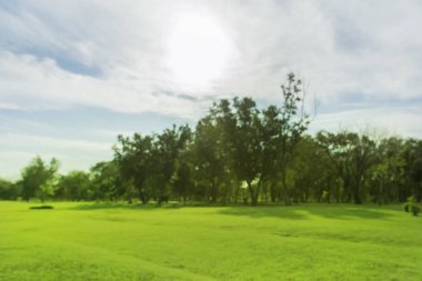 bulanık fotoğraf Yeşil ağaçlar ve bahçeler Sabah güzel ışık