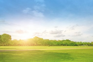 Panorama parkı. Tayland Sabah ışık yeşil çim.public park.