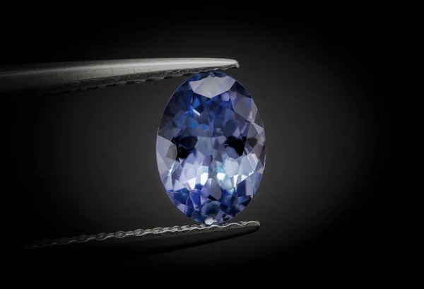 Bijoux Tanzanite Bleu Naturel Ovale Coupé Beautiful Holding Par Pince — Photo