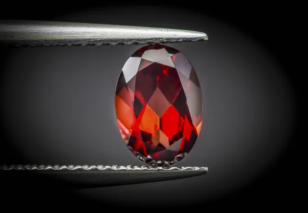 Natural Red Garnet Gems Stone Oval Cut Holding Stone Tweezers — Stok Foto