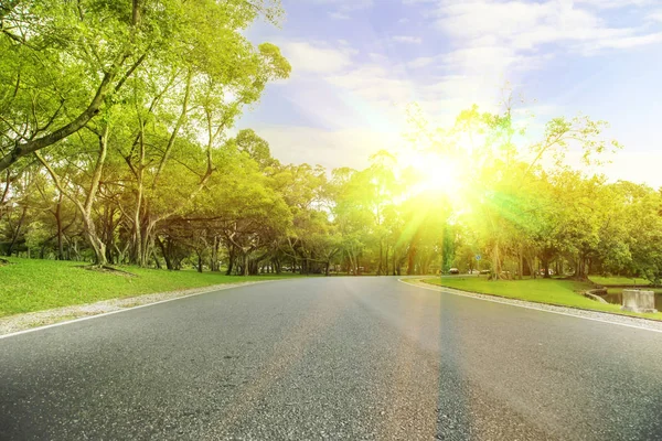 bulanık fotoiz yeşil ağaçlarda koltuk çalışır park.in akşam
