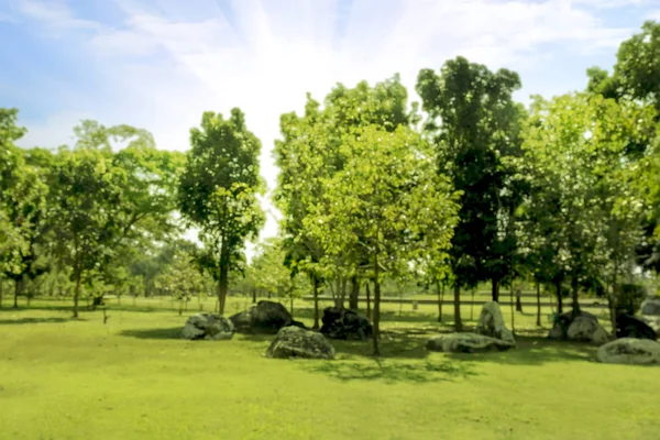 Verschwommenes Foto Schöne Wiese Park Mit Morgenhimmel — Stockfoto