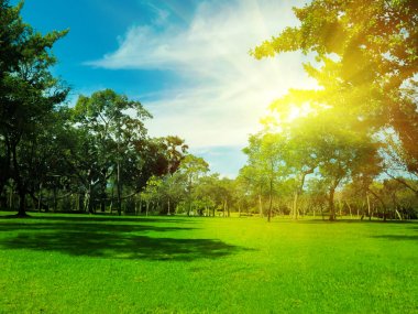 Bulanık fotoğraf Sabah gökyüzü ile parkta güzel çayır.