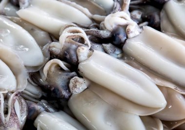 Taze kalamar piyasada satılıyor.