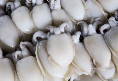 Taze kalamar piyasada satılıyor.