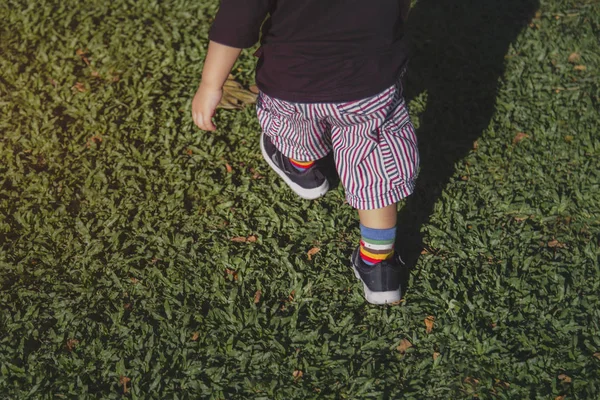 Der Kleine Junge Spaziert Abend Auf Dem Gras — Stockfoto