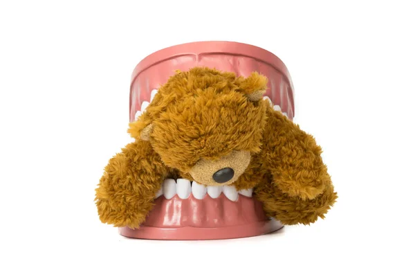 孤立した背景に入れ歯の噛みテディベア — ストック写真