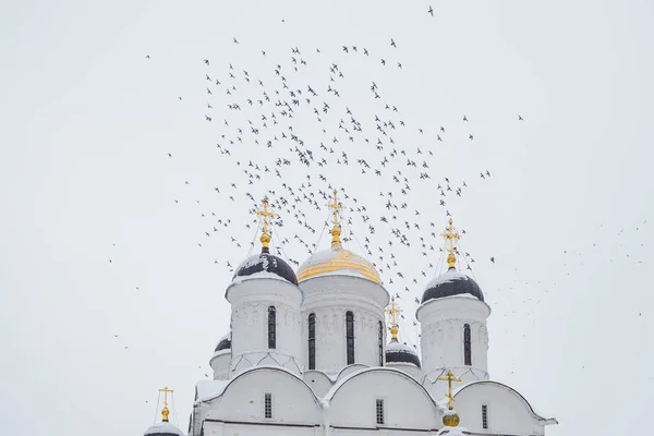 Голуби кружат над куполами православной церкви . — стоковое фото