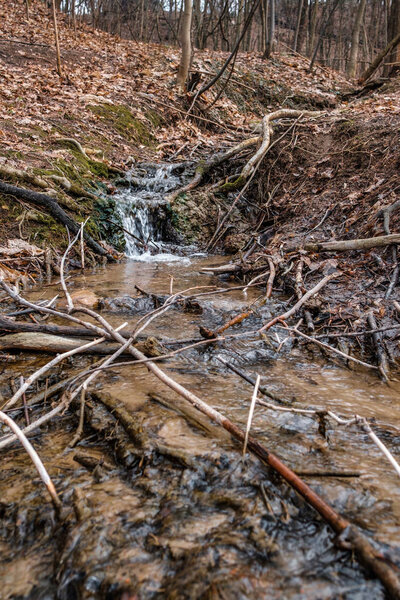 A small waterfall in a natural creek area , running rapid with spring snow melt,