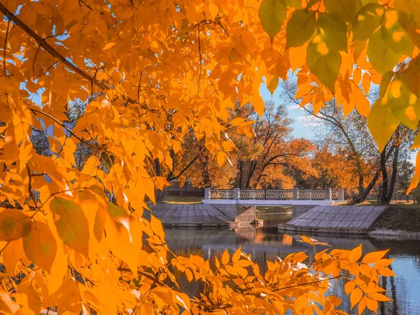 Puente sobre el canal del río enmarcado por el follaje de otoño amarillo — Foto de Stock