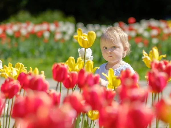Gadis kecil di latar belakang tulip mekar . — Stok Foto