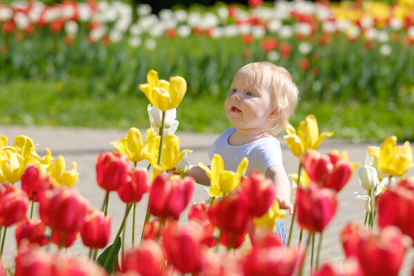 Little girl on the background of blooming tulips.