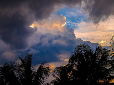 Avuç içi yapraklarının üzerinde turuncu güneş ışığı ile içten aydınlatılan ağır gök gürültülü bulutlar. Doğanın dramatik resmi.