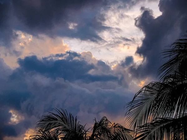Heavy thunderclouds illuminated from the inside by orange sunlight above the palm leaves. Dramatic picture of nature. — Stock Photo, Image