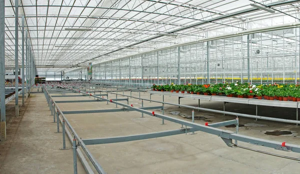 Panorama industrial greenhouse, prepared for planting plants.